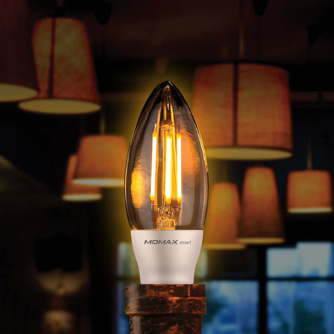 Smart 智能 Wi-Fi LED 復古燈泡 (蠟燭型) -- IB1SY